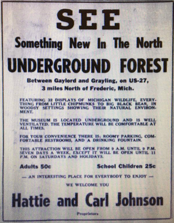 Underground Forest - Old Ad (newer photo)